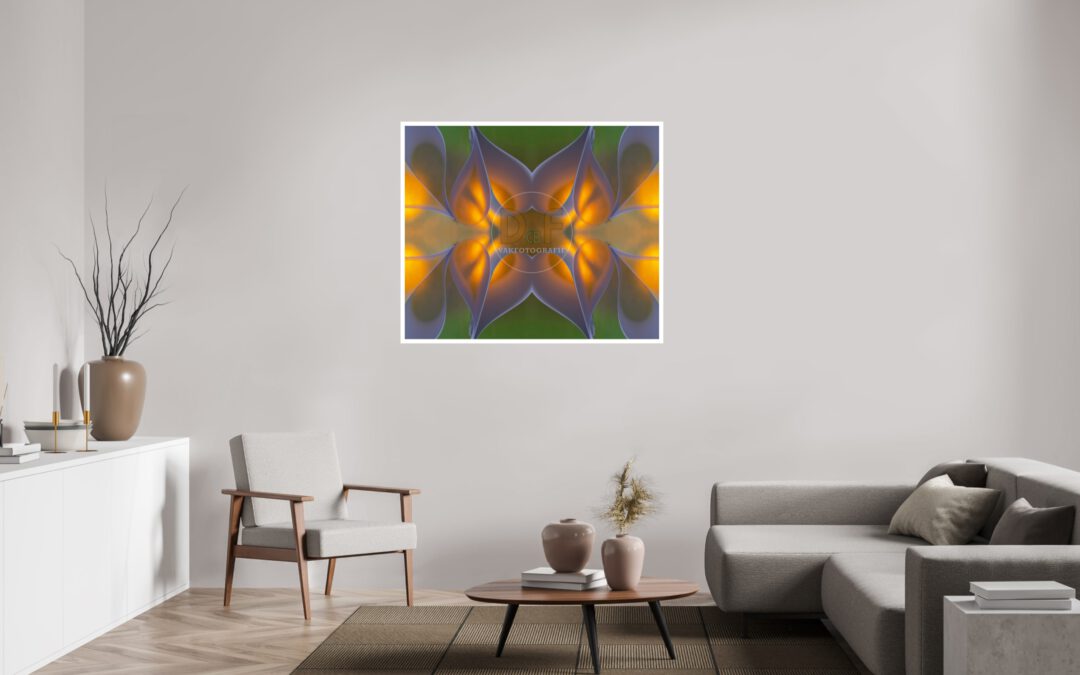 Fotografie als kunst aan de muur